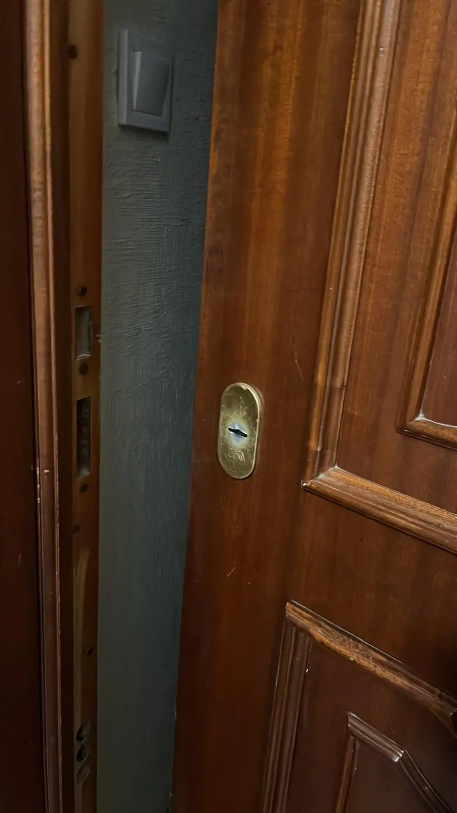Escudo de seguridad en la cerradura de una puerta de entrada entreabierta, con el cerradero multipunto en el marco